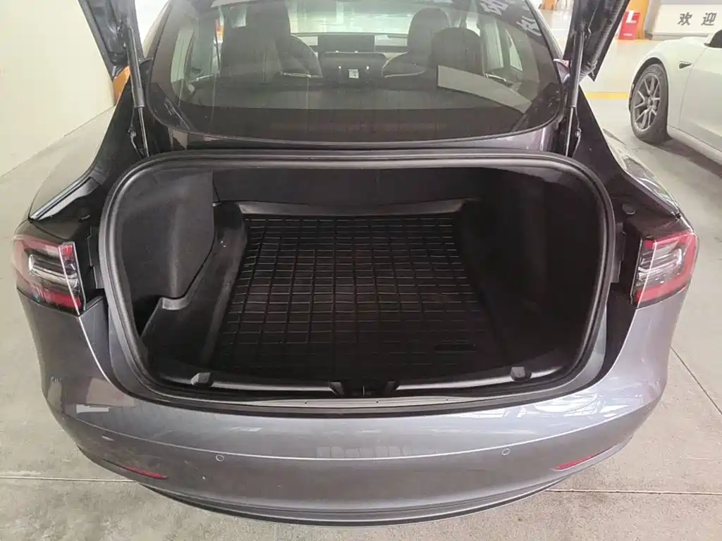 Tesla Model 3 2020 2019 Standard Range Rear-Wheel Drive Upgrade