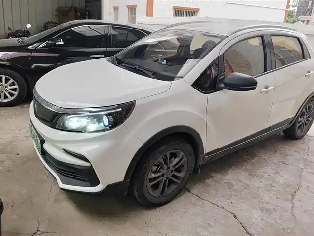 RUILAN AUTOMOBILE MAPLE LEAF 30X 2021