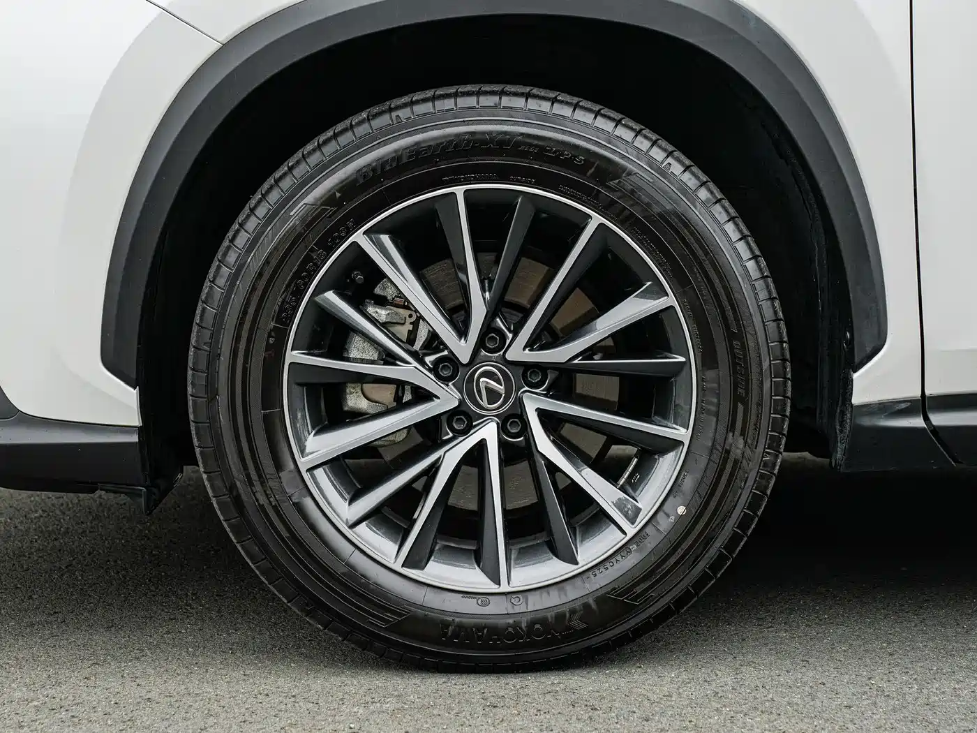 Lexus NX 2025 260 FWD Special Edition фото 8