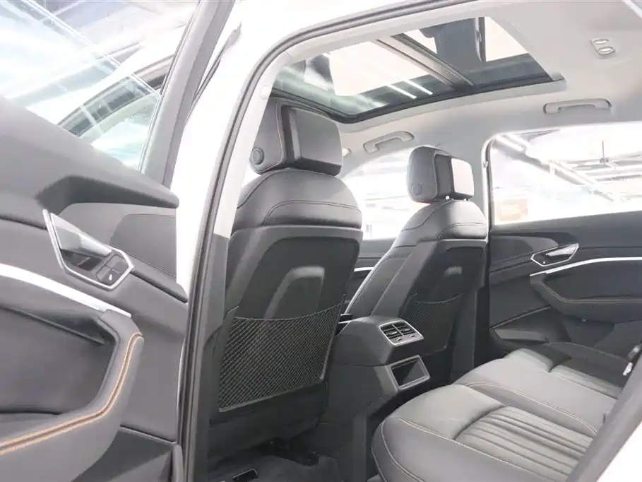 Audi e-tron 2021 50 quattro Luxury фото 16