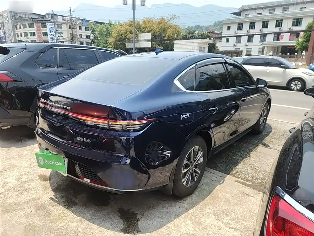 BYD Destroyer 05 2024 Glory Edition DM-i 55KM Luxury фото 7