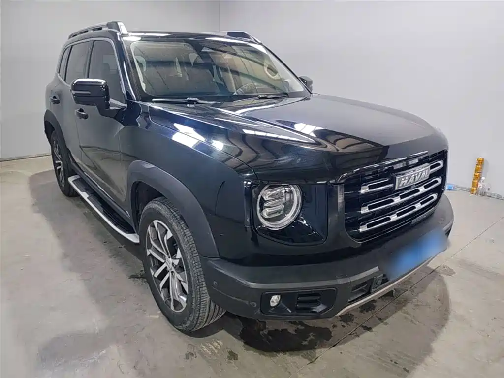 Haval Big Dog 2021 1.5T DCT 2WD Border Collie Edition фото 4