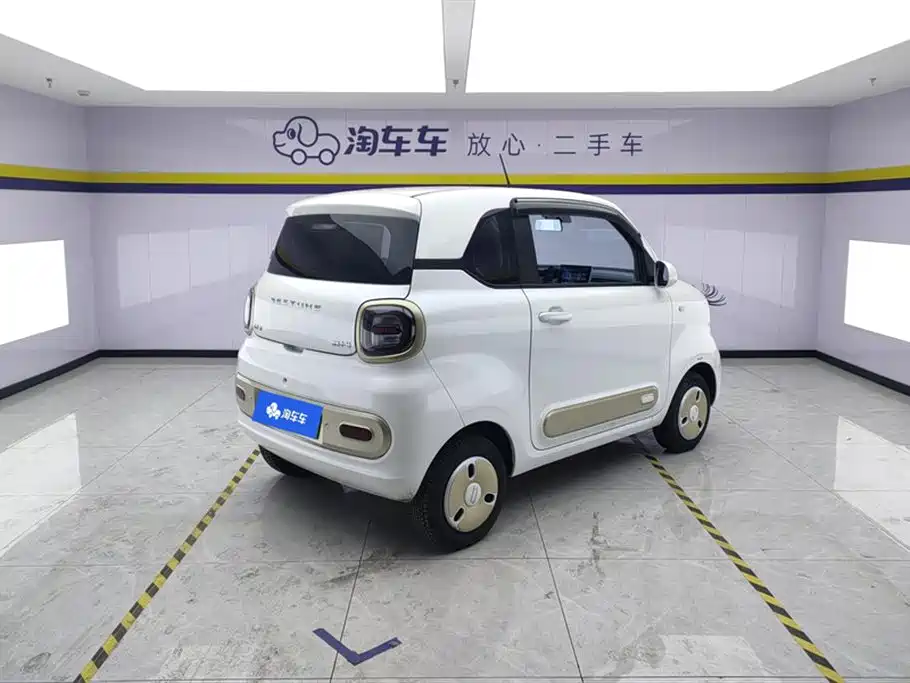 BESTUNE PENTIUM PONY