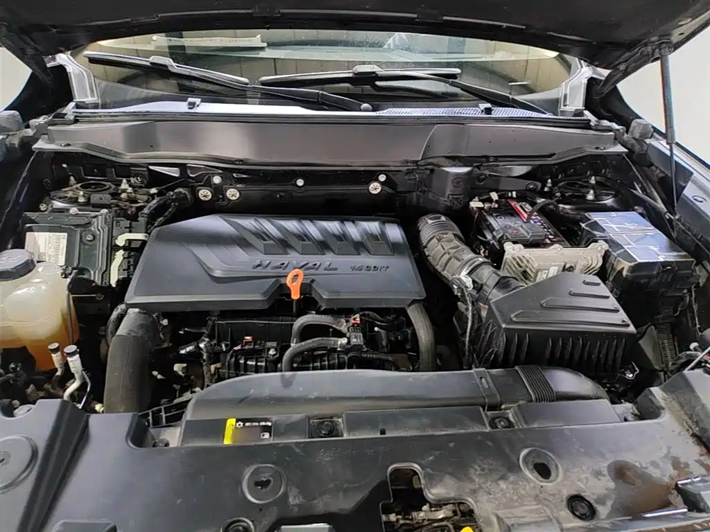 Haval Big Dog 2021 1.5T DCT 2WD Border Collie Edition фото 20