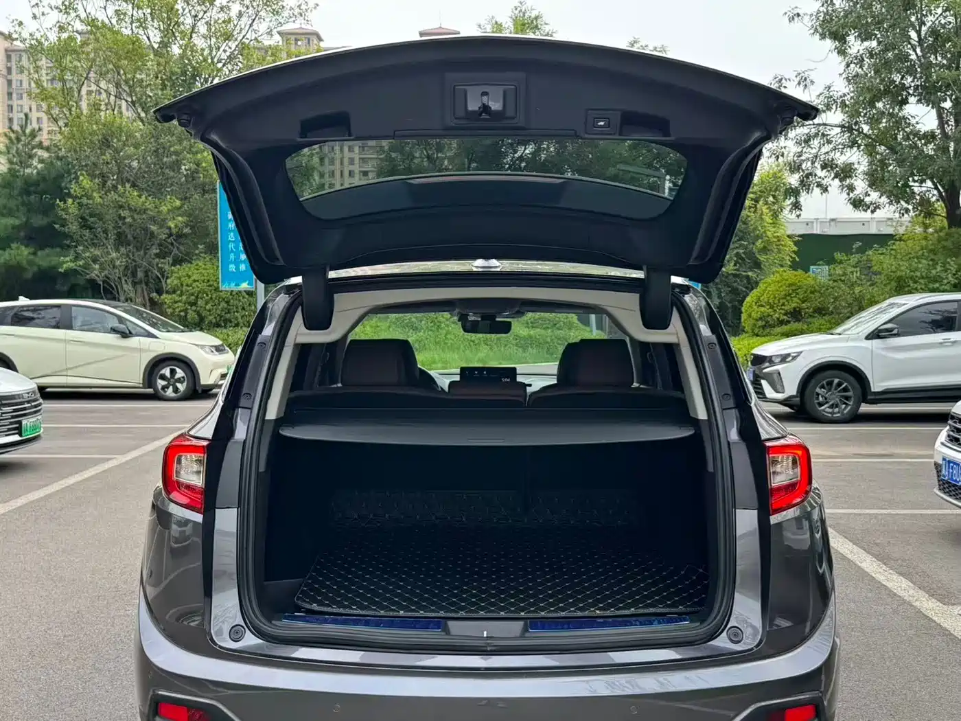 Acura RDX 2021 2019 2.0T Diamond·Charm Edition SH-AWD China VI