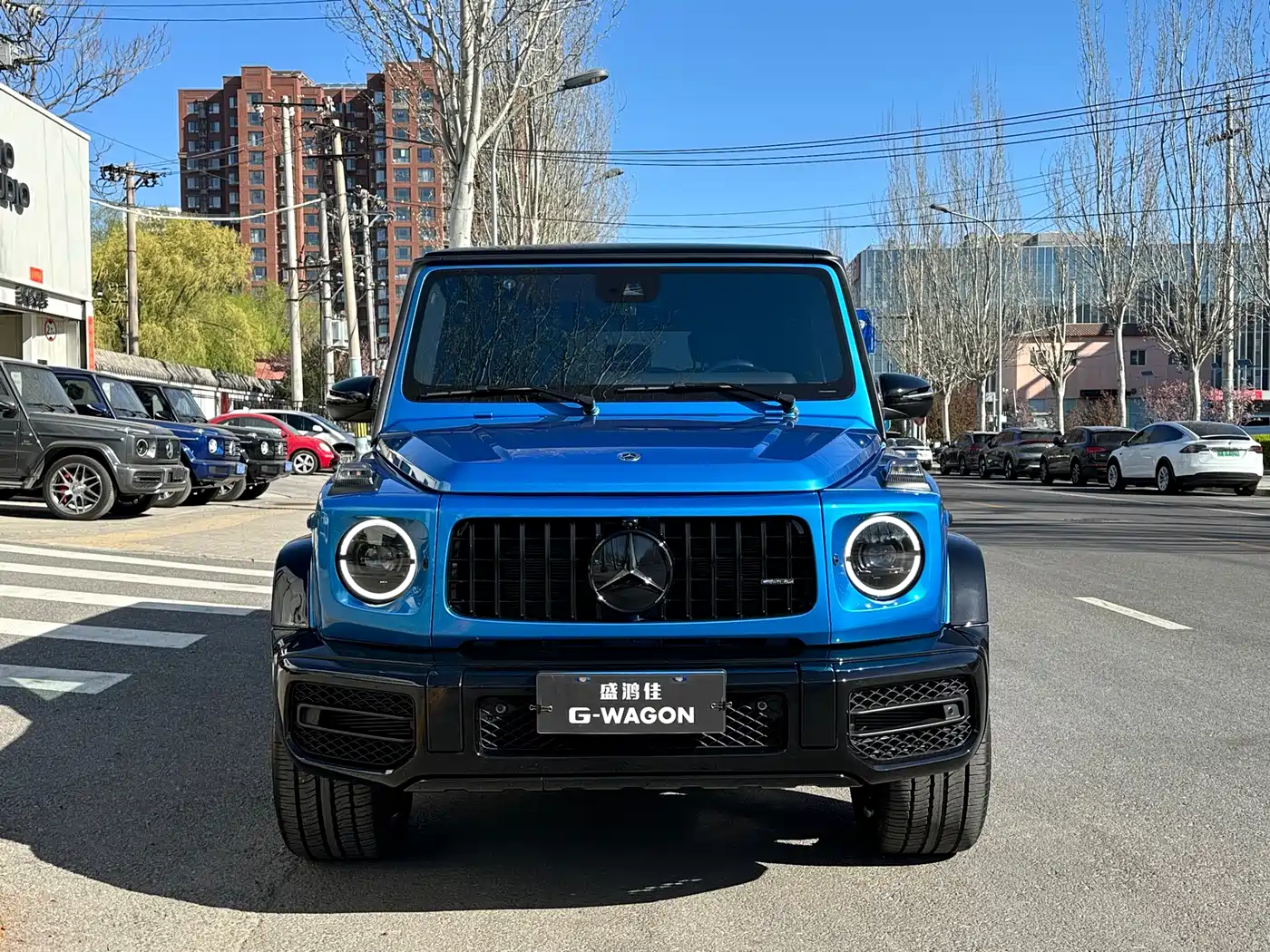 MERCEDES-BENZ G CLASS