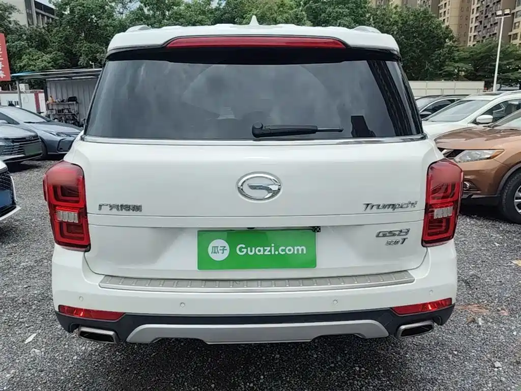 GAC Trumpchi Trumpchi GS8 2017 320T 2WD Luxury Edition (7-Seater) фото 6
