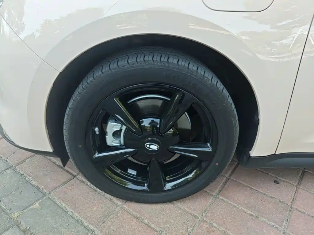Ora Good Cat 2025 2024 501km Luxury