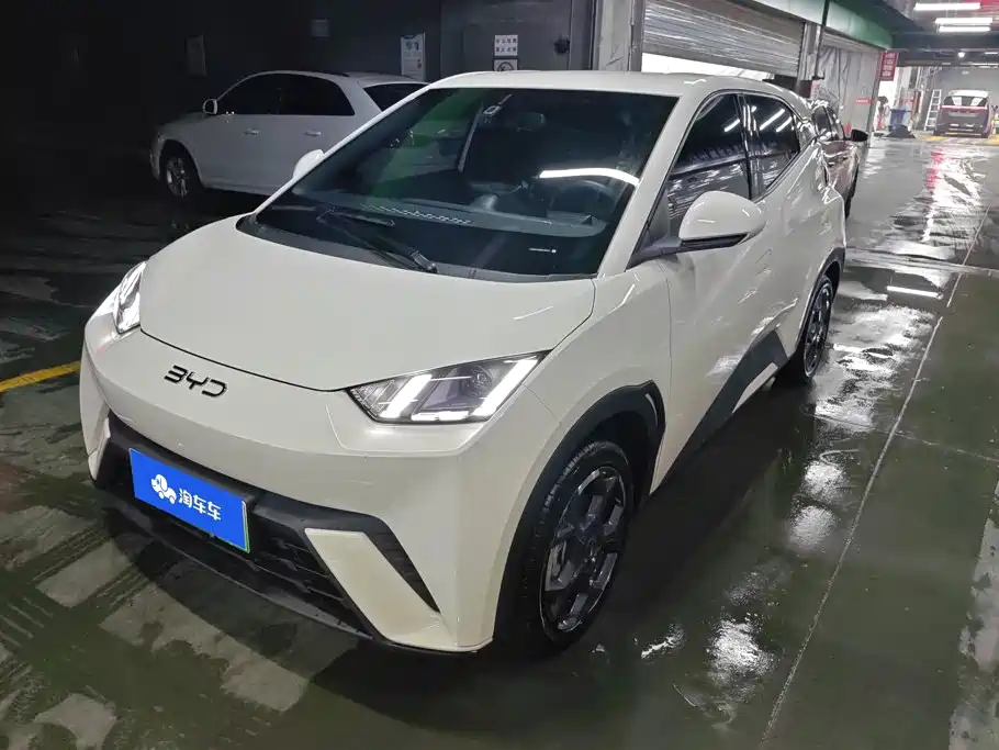 BYD Seagull 2025