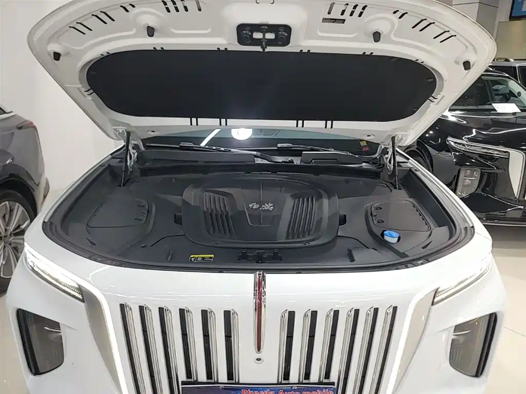Hongqi E-HS9 2022 660km Qi Chang Edition (6-seater) фото 20