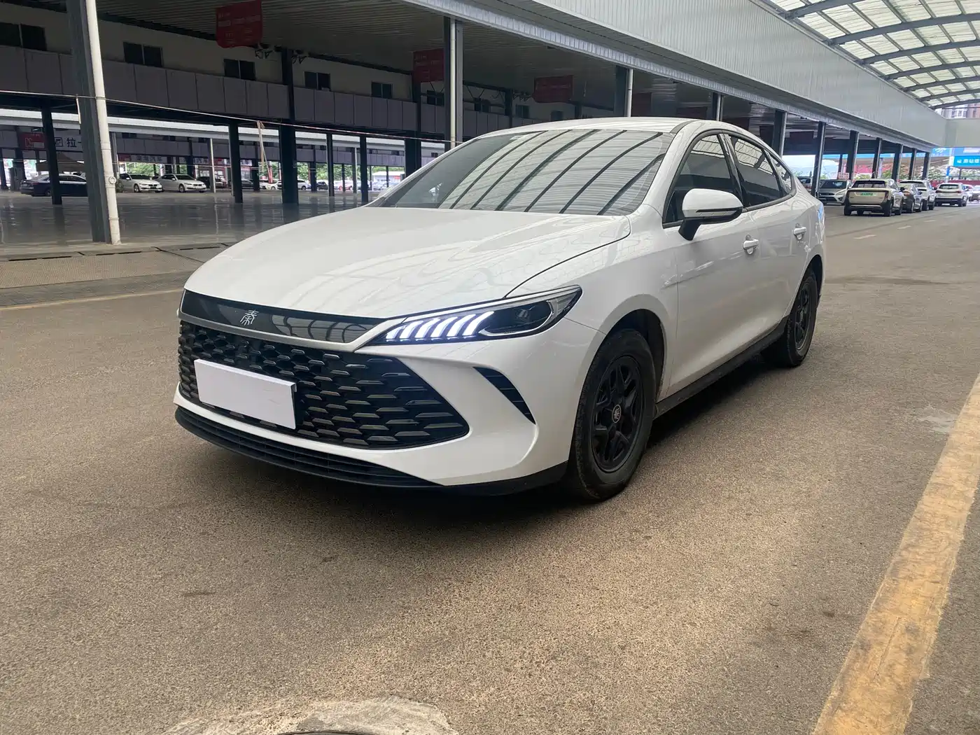 BYD Qin PLUS 2025 DM-i Smart Drive 55KM Leader