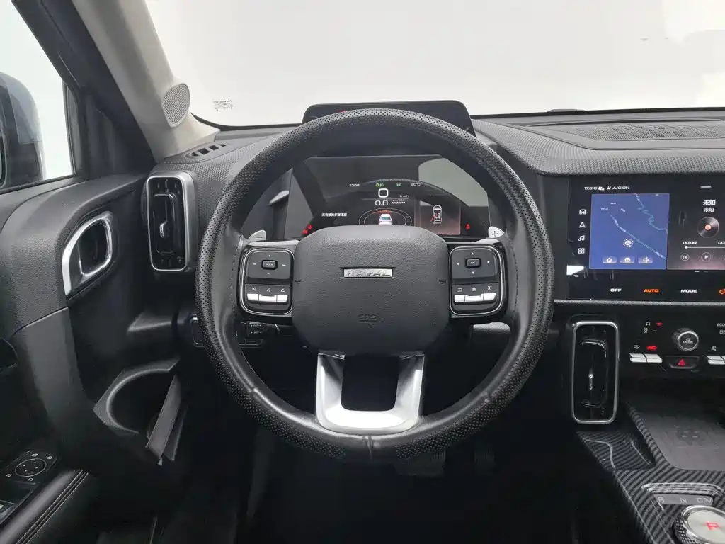 Photo 11 - Haval Dargo