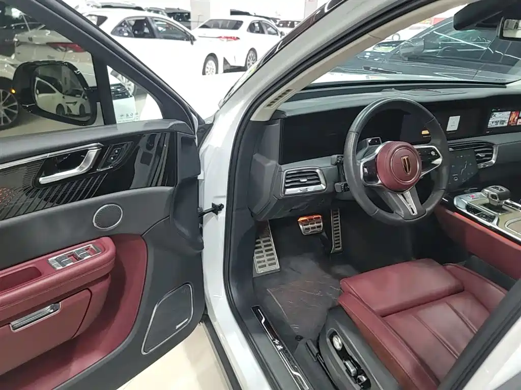 Hongqi E-HS9 2022 660km Qi Chang Edition (6-seater) фото 16