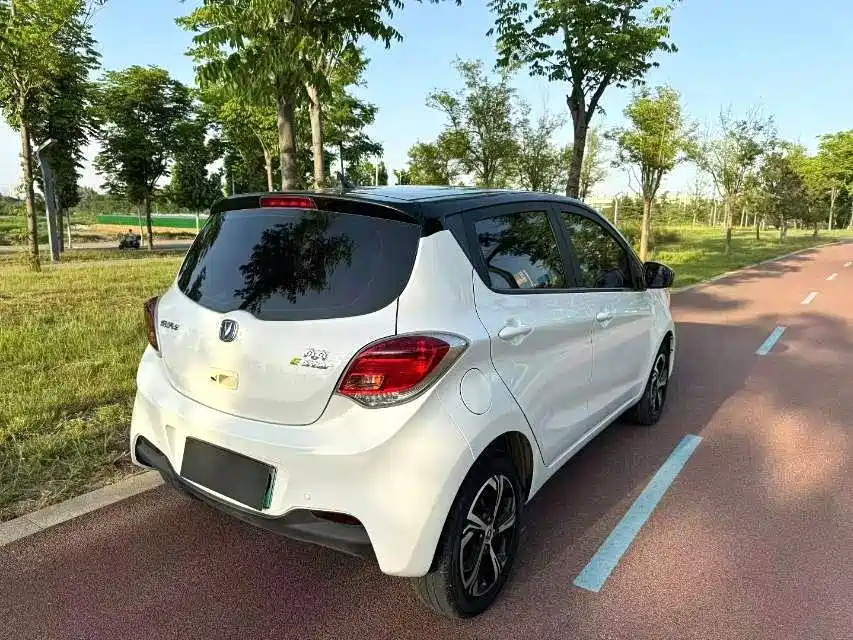Changan Benben E-Star 2022 2022 Serenity Colorful NMC