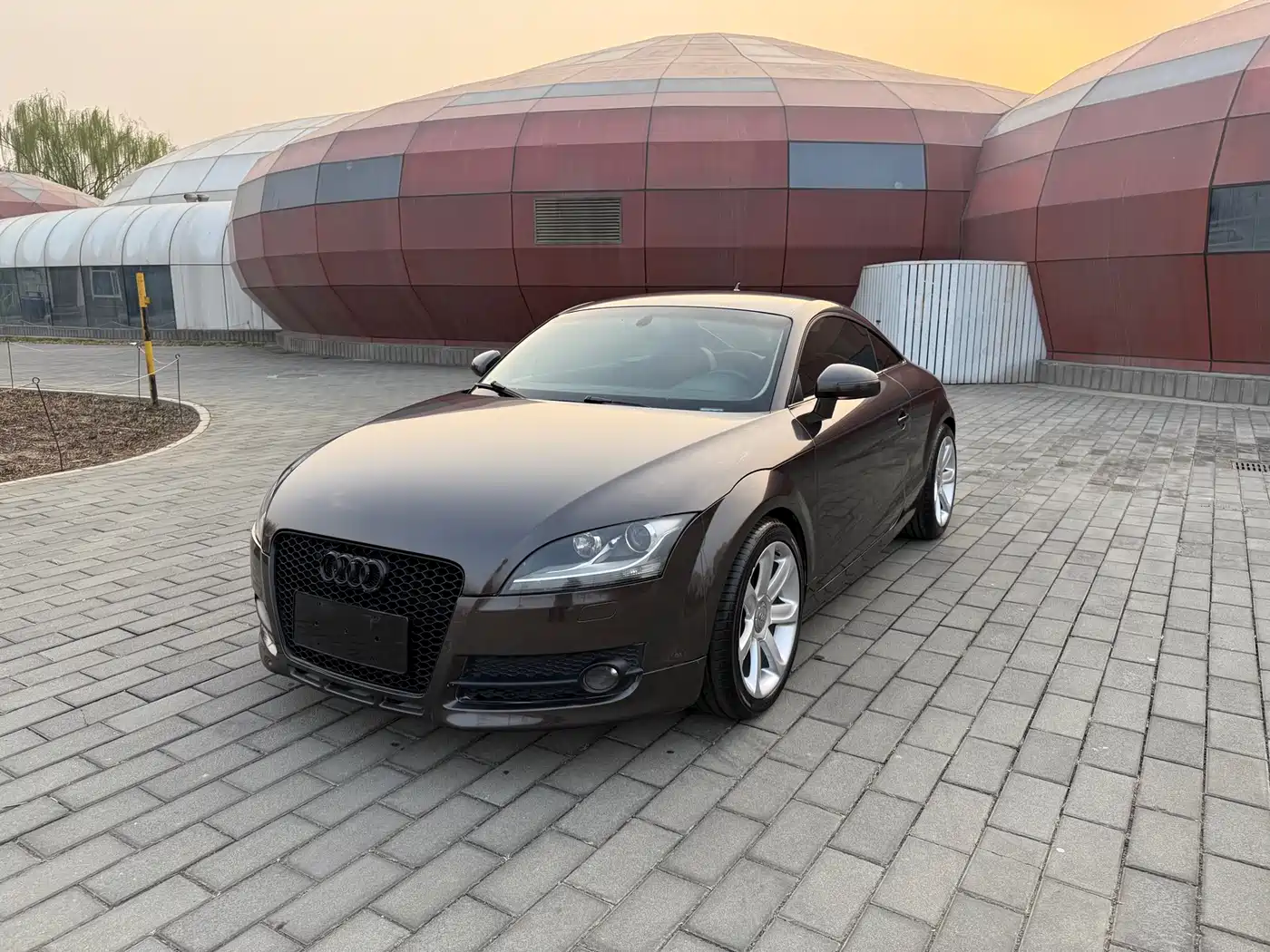 Audi TT 2010 TT 2.0TFSI Collector's Edition