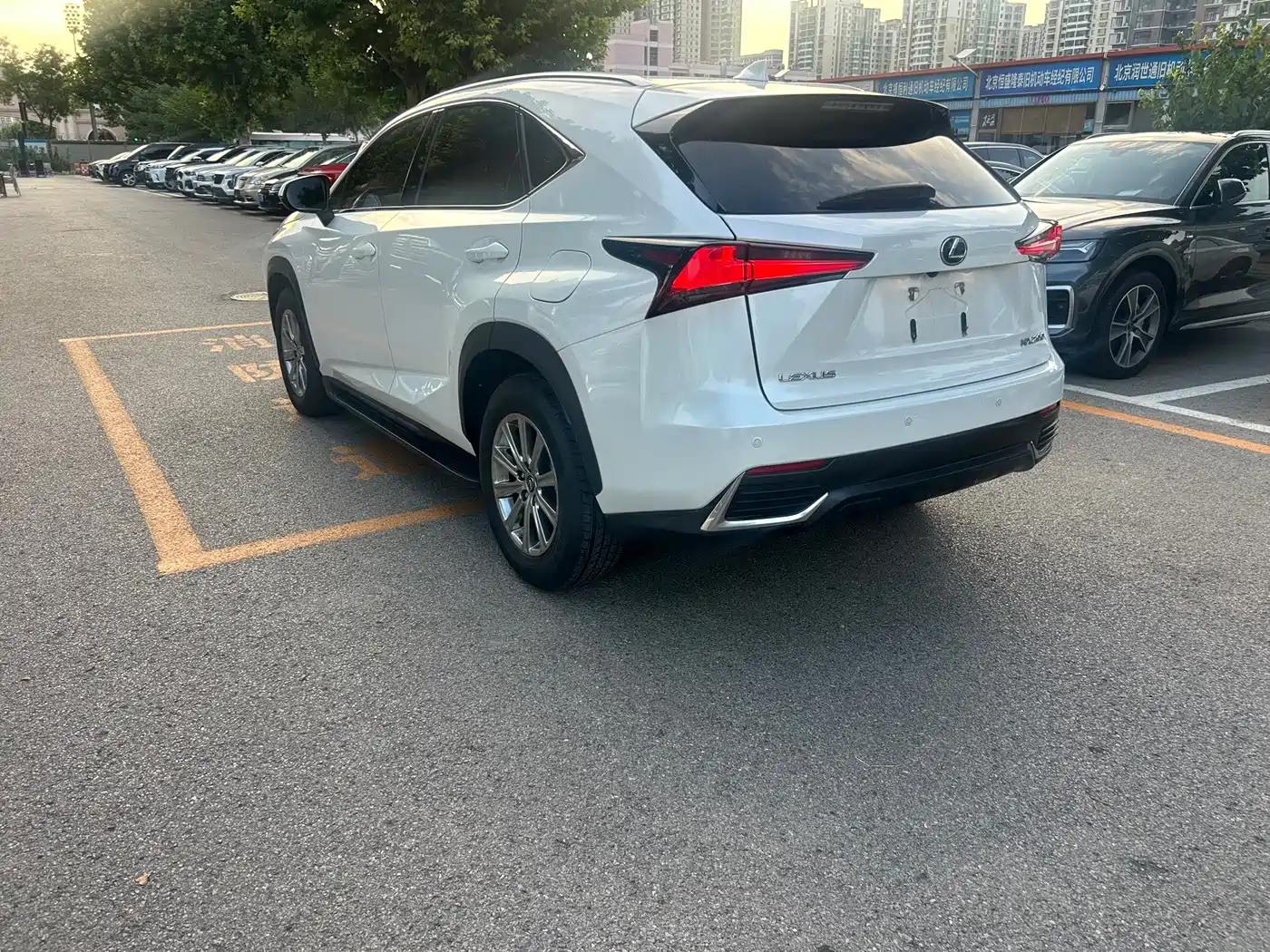 Фото 6 - Lexus NX