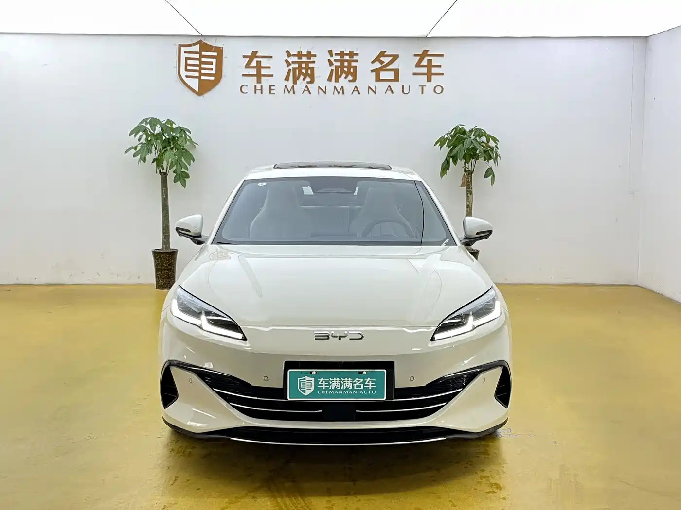 BYD Seal 06 New Energy 2025 DM-i Smart Drive Edition 120KM Luxury фото 2