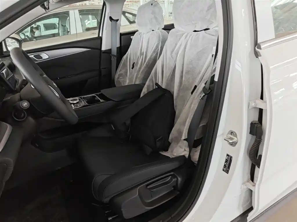 Geely Galaxy Galaxy Stellar 6 2025 Model 125km Free Edition фото 15