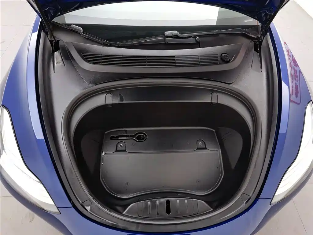 TESLA MODEL 3 (IMPORTED)
