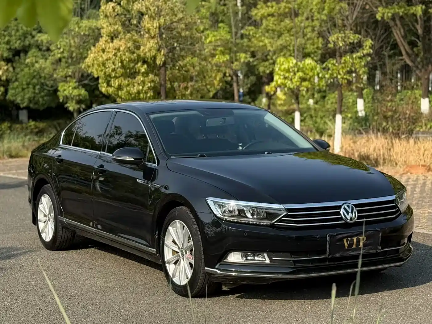 Volkswagen Magotan 2019 330TSI DSG Leading China VI фото 3