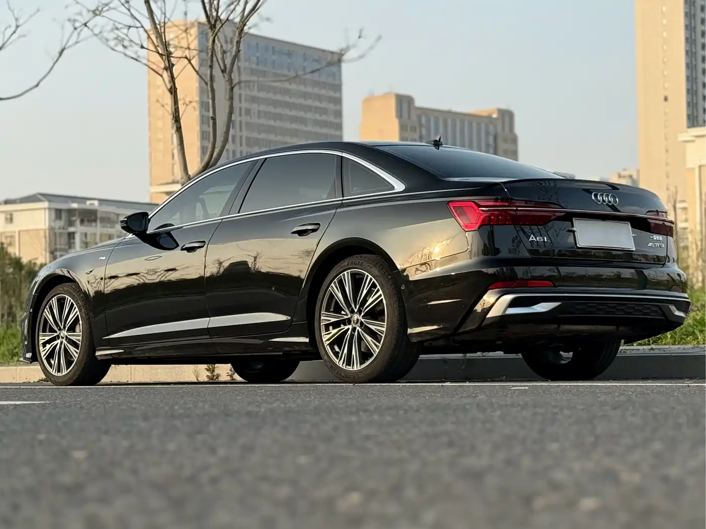 Audi A6L 2023 45 TFSI Premium Selection Dynamic фото 15