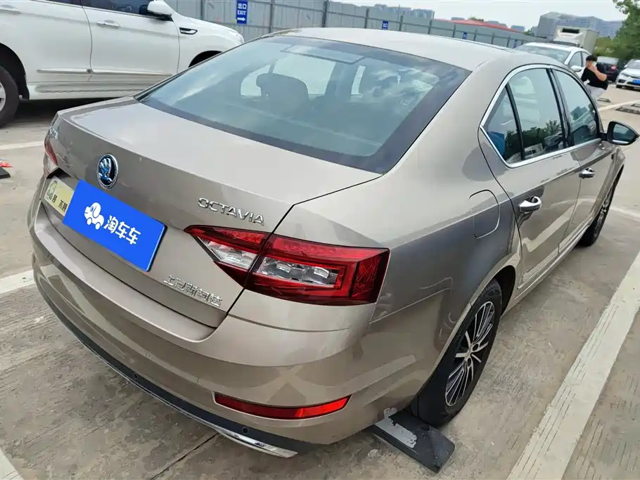 Škoda Octavia 2019 1.5L Automatic Luxury Edition фото 3