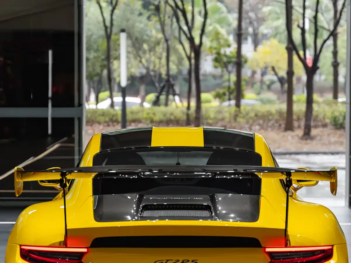 Porsche 911 2018 GT2 RS 3.8T фото 10