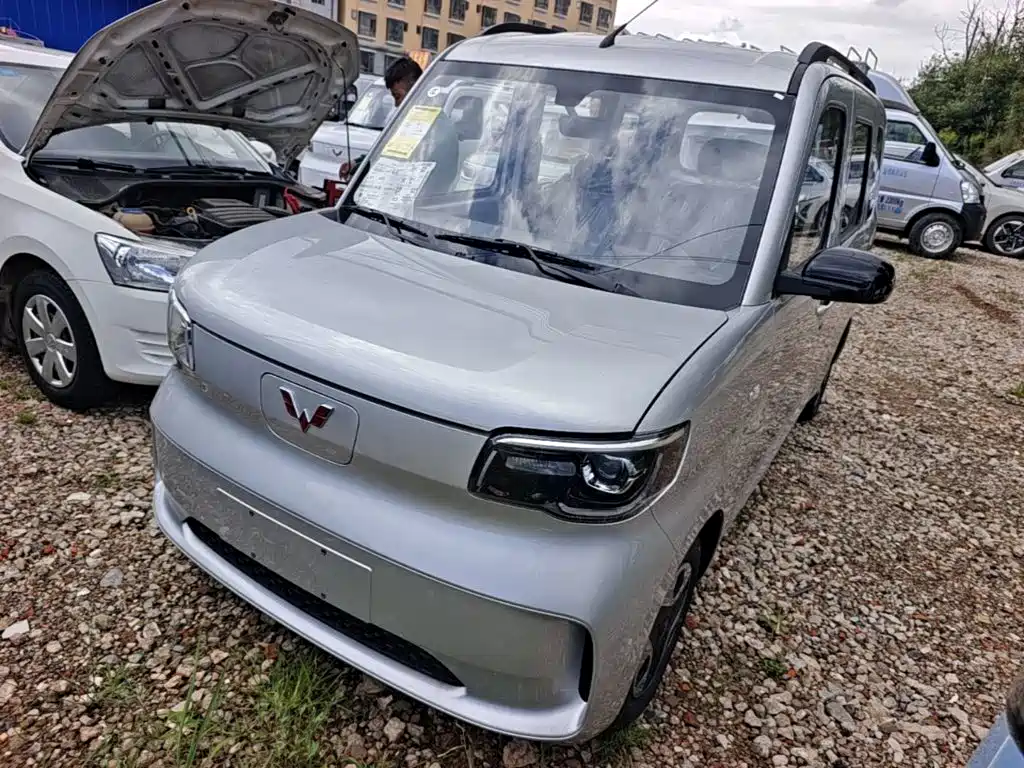 Wuling Motors Wuling Zhiguang NEV 2026 2025 Model 305km Base Version