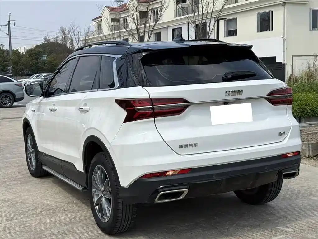 SWM SWAY MOTORS SWM SWIFT G01