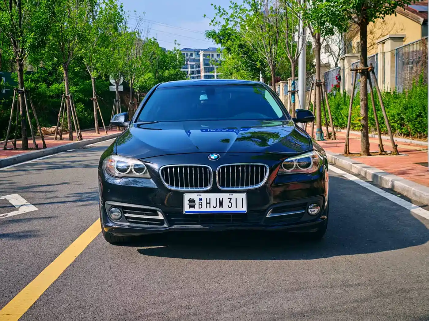 BMW 5 Series 2014 520Li Elegance фото 2