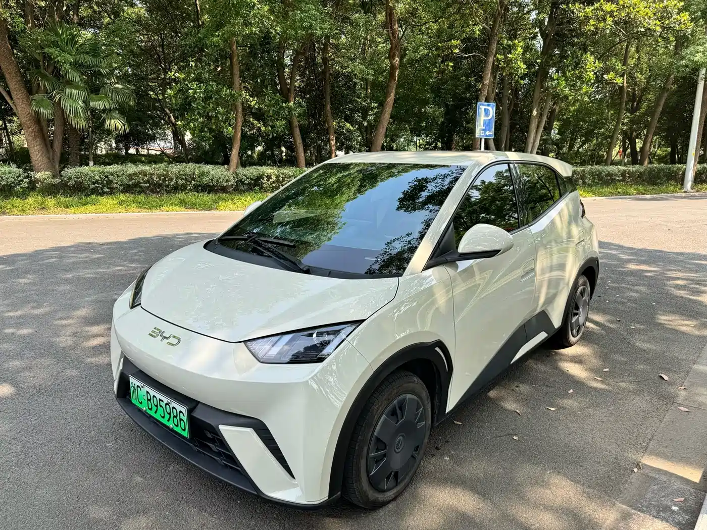 BYD Seagull 2024 Glory Edition 305km Vitality Edition