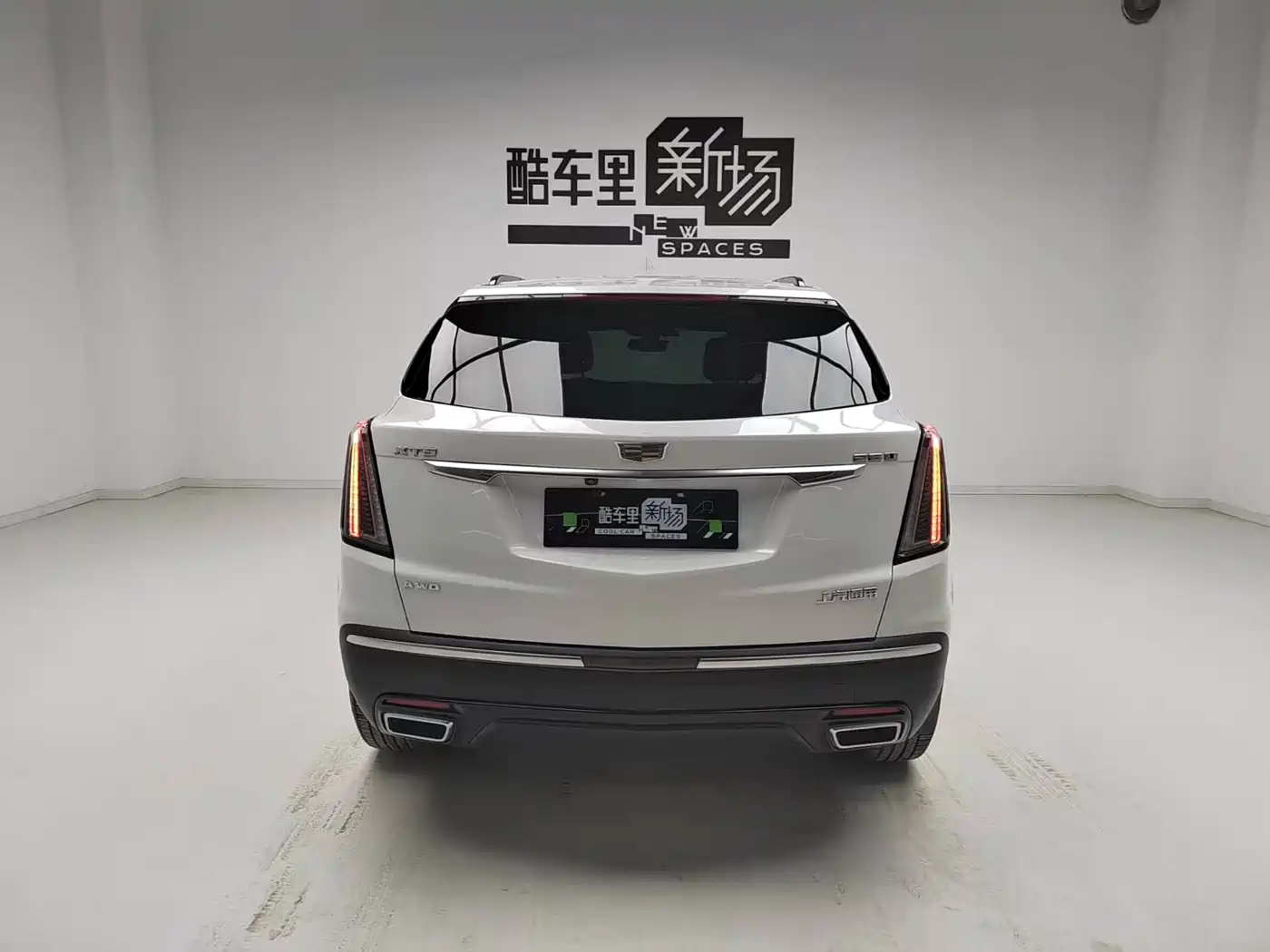 Cadillac XT5 2024 2.0T AWD Luxury (Hummingbird Edition) фото 5