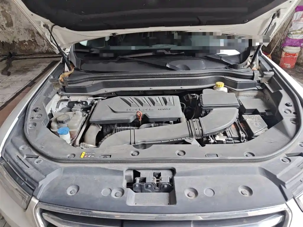 Haval H6 2020 1.5GDIT Automatic Platinum Champion Edition фото 17