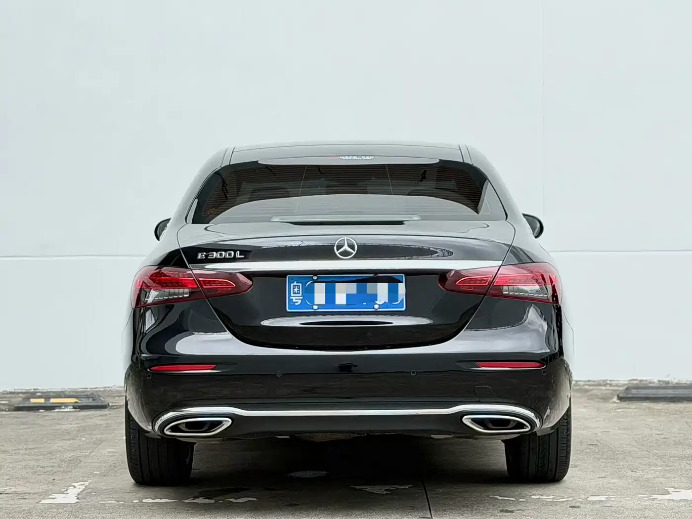 Mercedes-Benz E-Class 2023 E 300 L Luxury фото 8