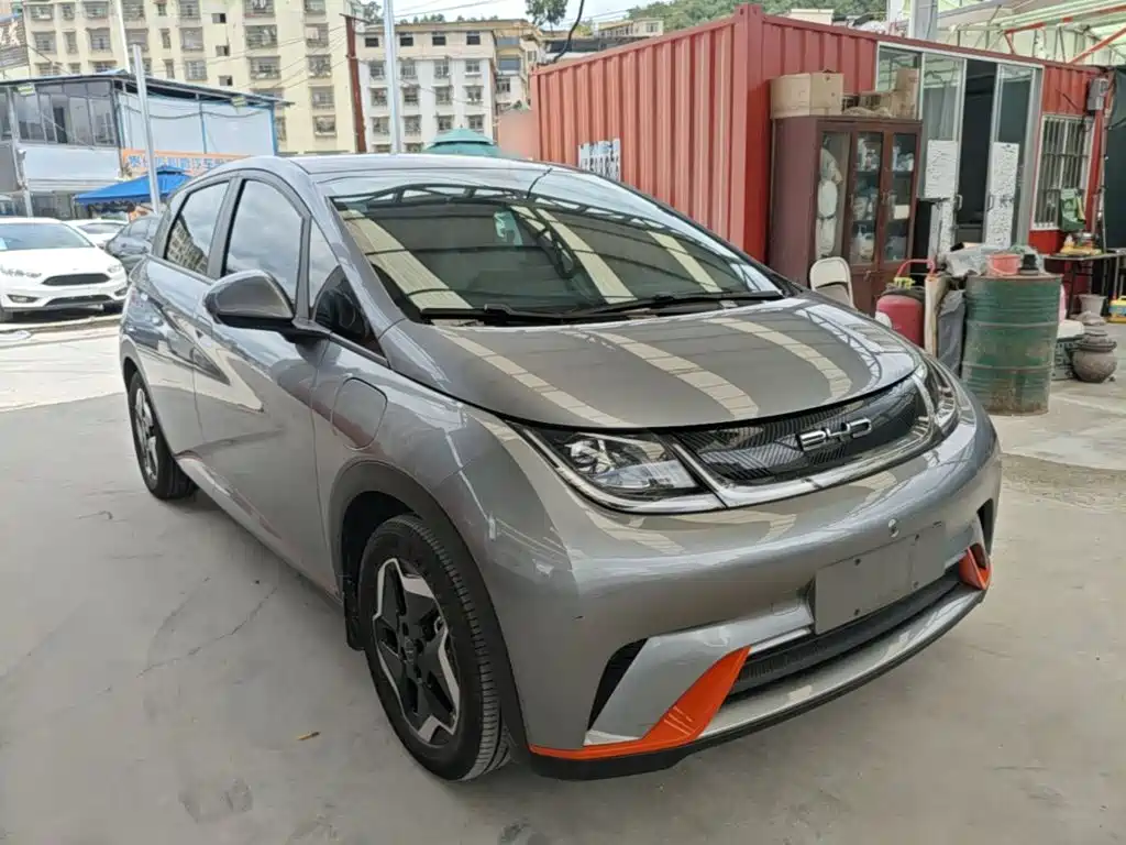 Фото 4 - BYD Dolphin