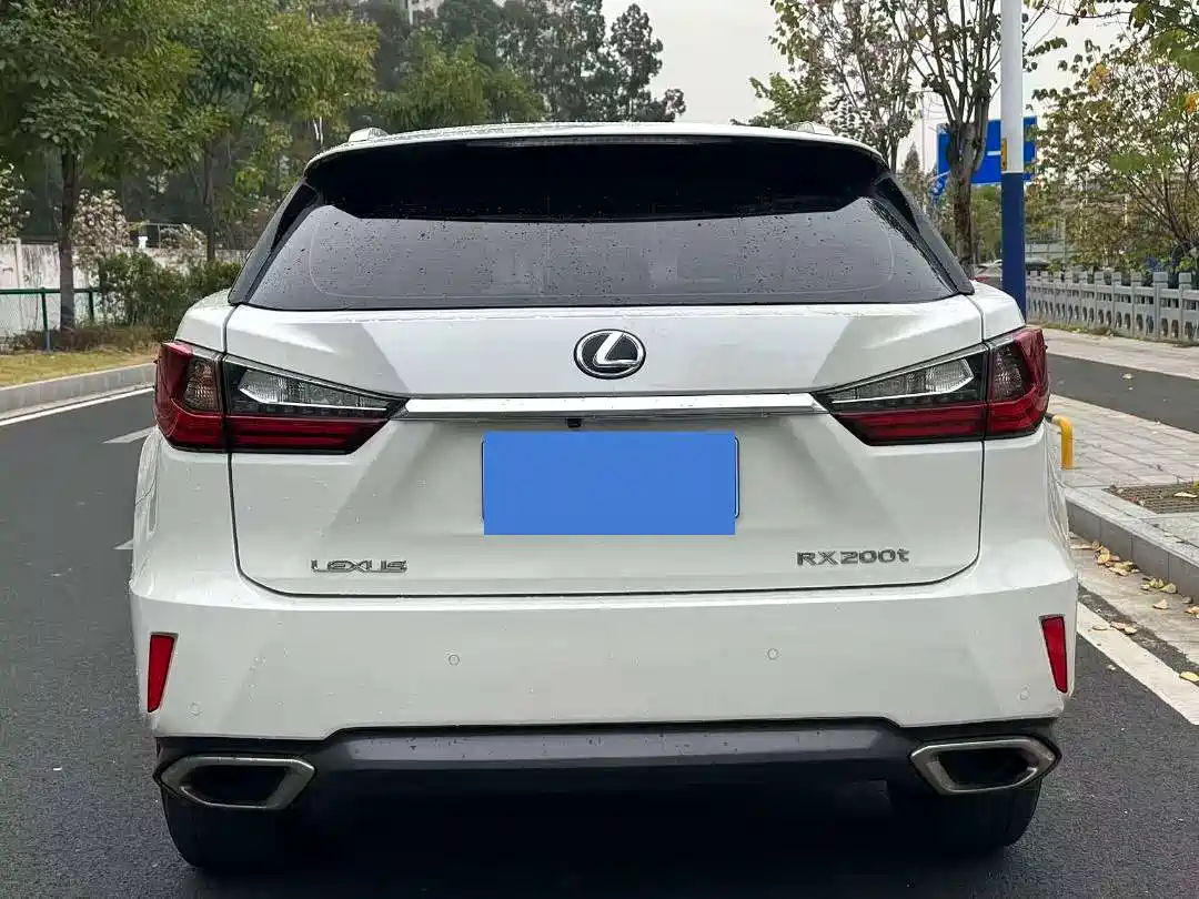 Lexus RX 2016 300 2WD Elite Edition (China V) фото 7