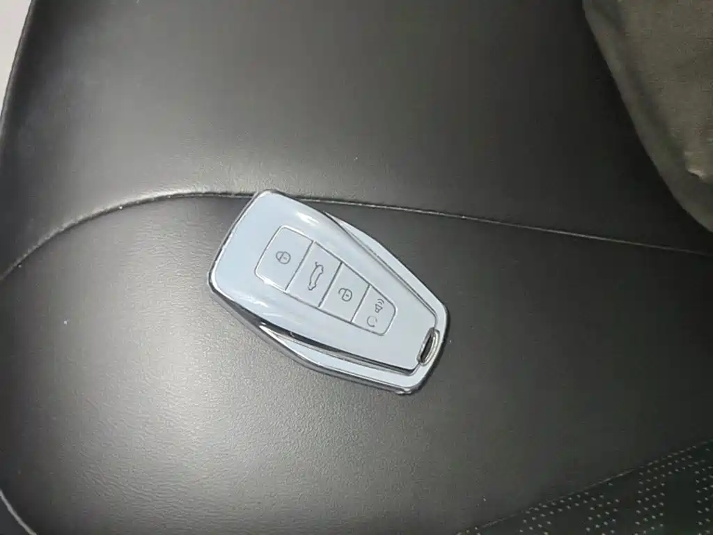 Geely Geometry E Firefly 2022 2022 401KM Delicate Tiger 4-seater