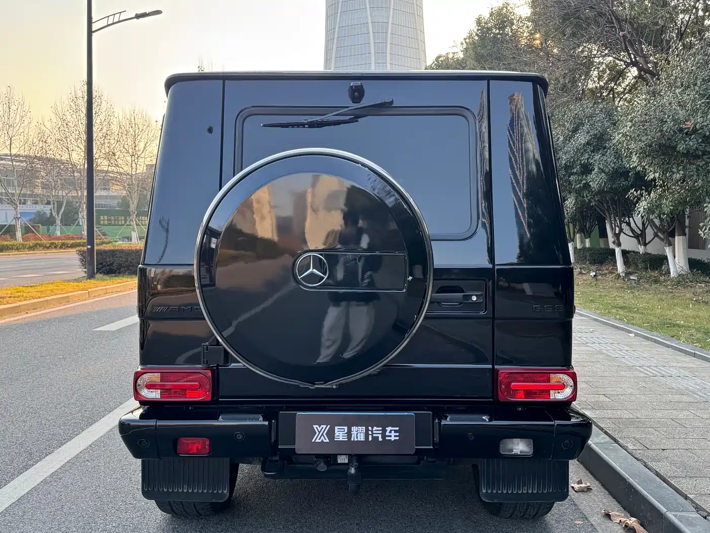 Mercedes-Benz G-Class 2017 G 500 фото 3
