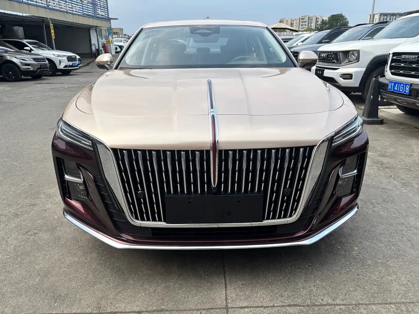 Hongqi H5 2024 2.0T Automatic Smart Connect Flag Smooth Edition фото 2