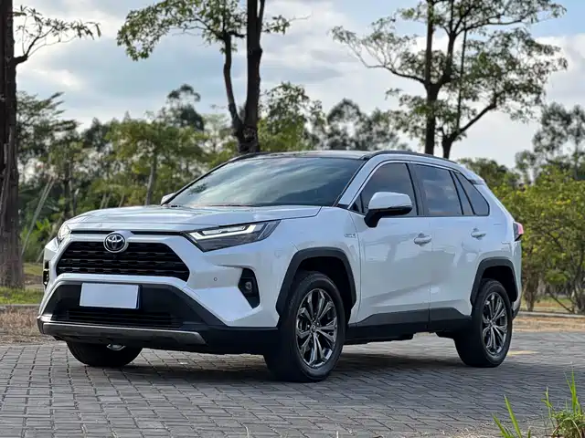 TOYOTA RAV4 RONGFANG 2025