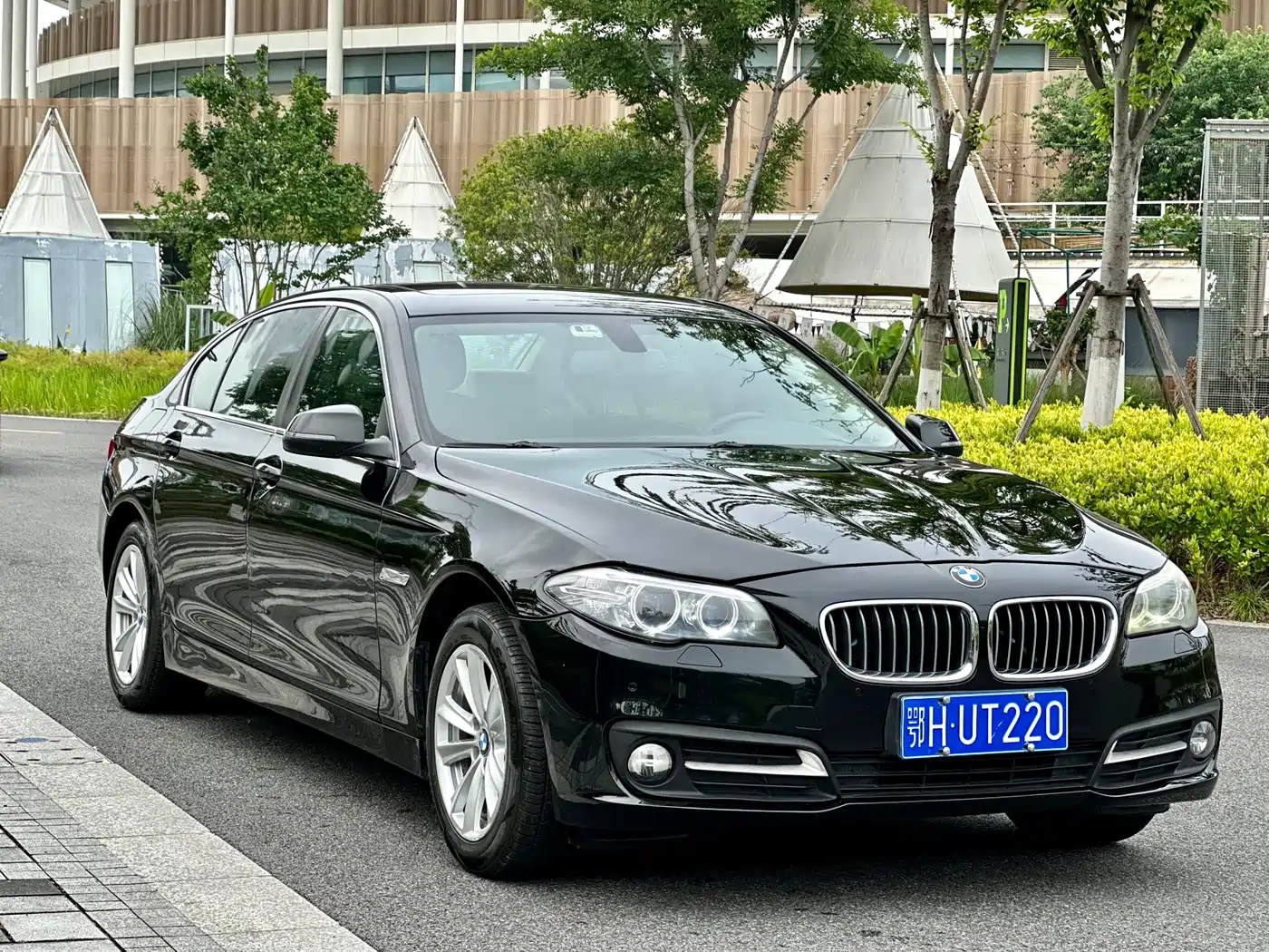 BMW 5 Series 2014 520Li Elegance фото 3