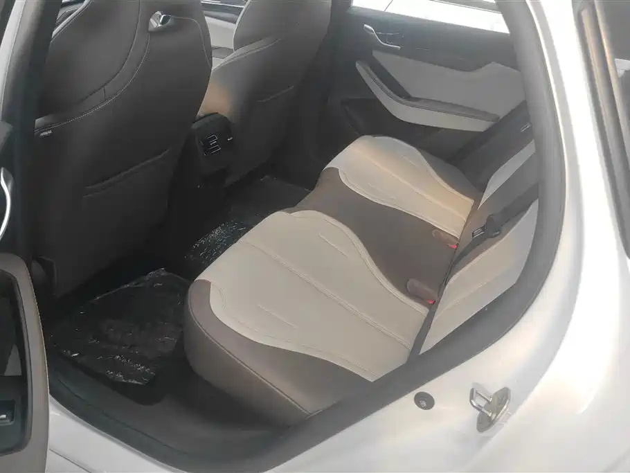 BYD Qin PLUS 2024 Glory Edition DM-i 55KM Leading фото 10