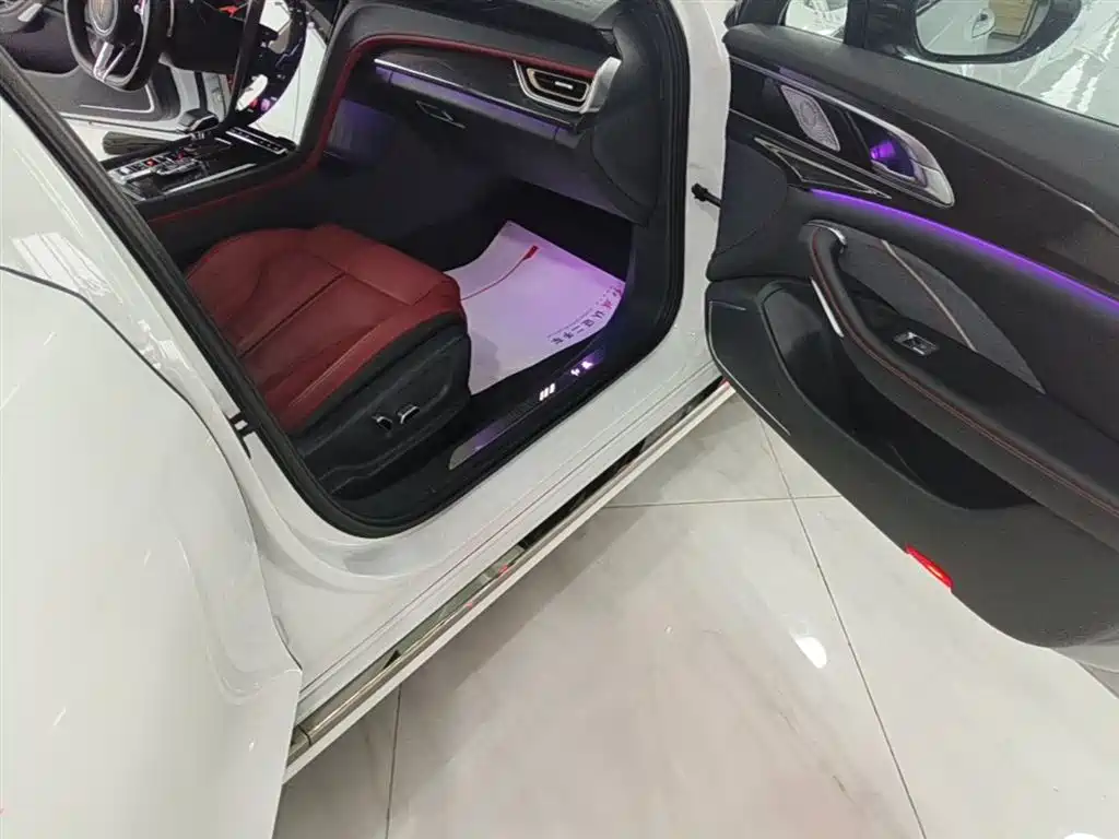 Hongqi H6 2023 2.0T Premium Edition фото 11
