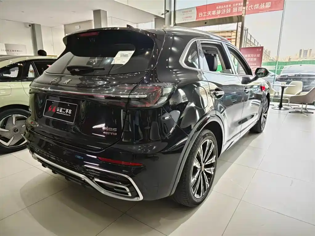 Hongqi HS5 2023 2.0T AWD Flag Enjoy Pro Edition фото 20