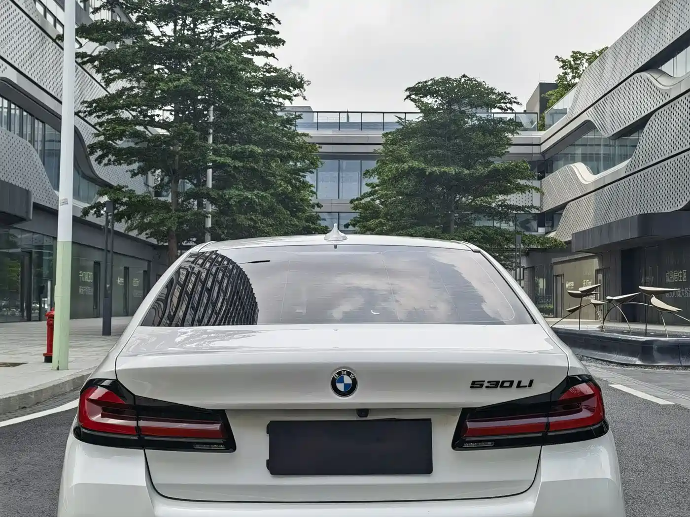 BMW 5 Series 2021 530Li Premium M Sport Package фото 9