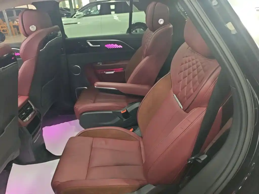 Photo 17 - Hongqi E-HS9