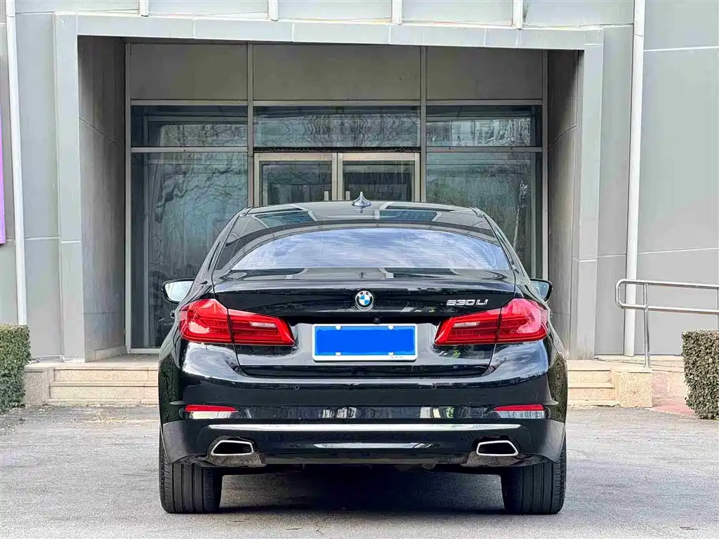 BMW 5 Series 2020 Model 530Li Executive Luxury Package фото 14