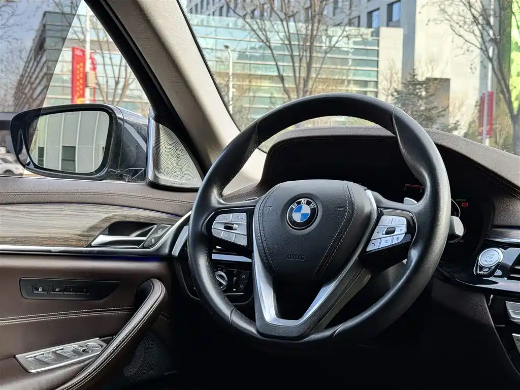 BMW 5 Series 2020 Model 530Li Executive Luxury Package фото 10