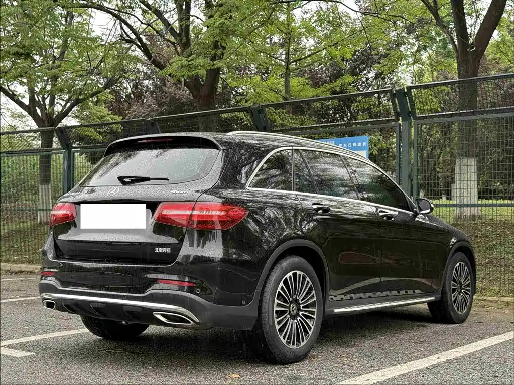 Mercedes-Benz GLC 2019 GLC 260 L 4MATIC Dynamic фото 12
