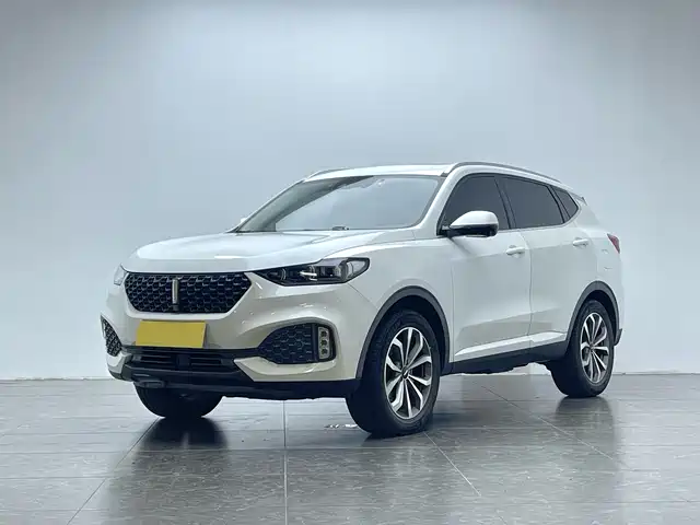 WEI PAI WEI BRAND VV6